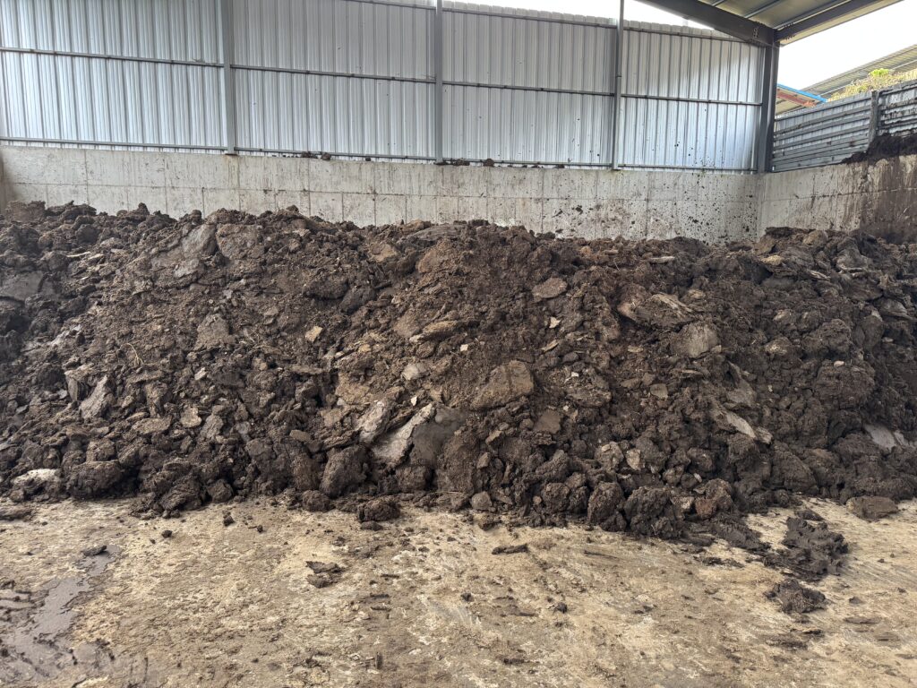 기존 퇴비더미 퇴비장에 가득 차있음