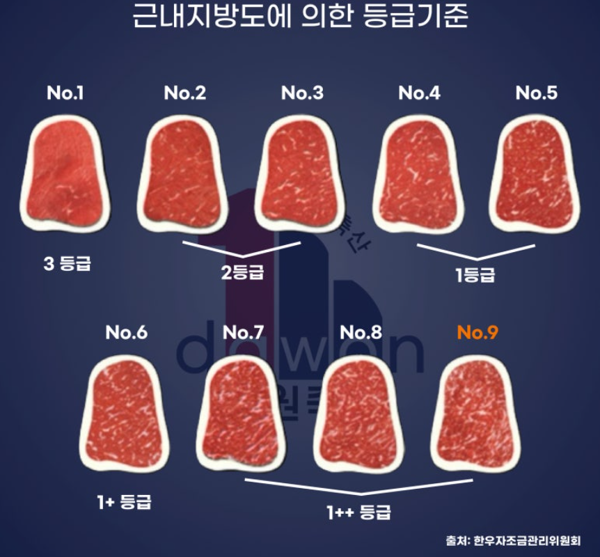 한우 근내지방도에 따른 등급기준 정리 표
