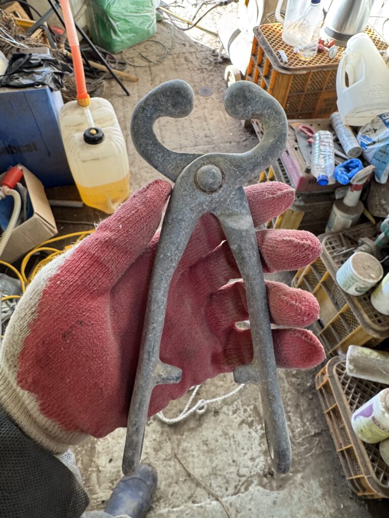 한우 비압기 코잡기