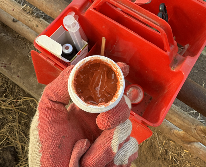 송아지 제각연고-성상-페이스트